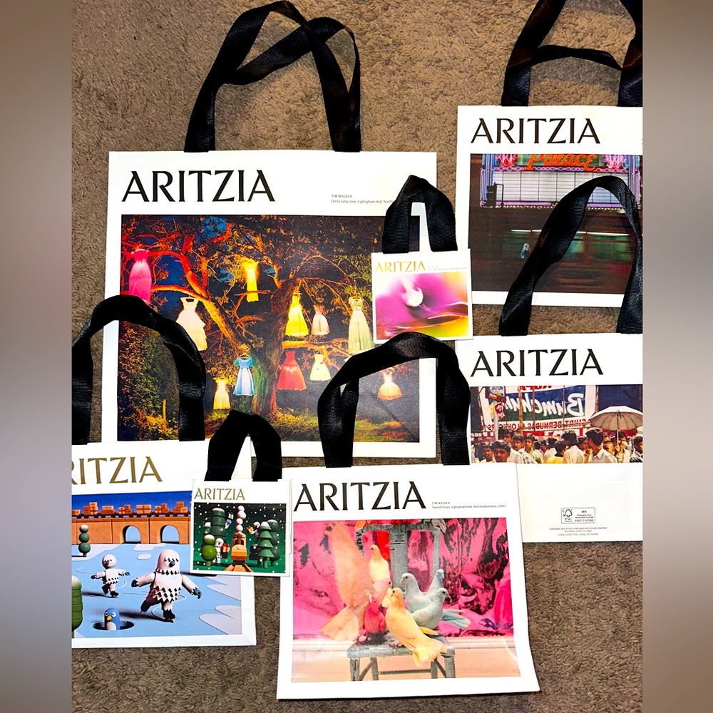 Aritzia Shopping Bags Mint Condition Medium Small and Mini